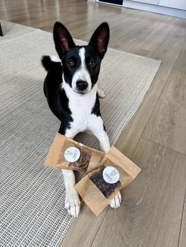 Pirkėjo augintinis su Pawderful skanėstais