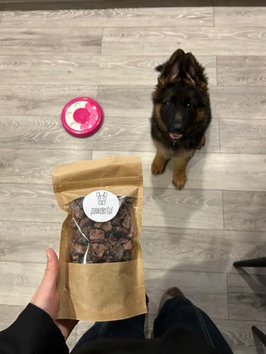 Pirkėjo augintinis su Pawderful skanėstais