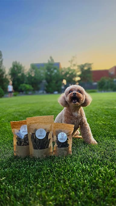 Pirkėjo augintinis su Pawderful skanėstais