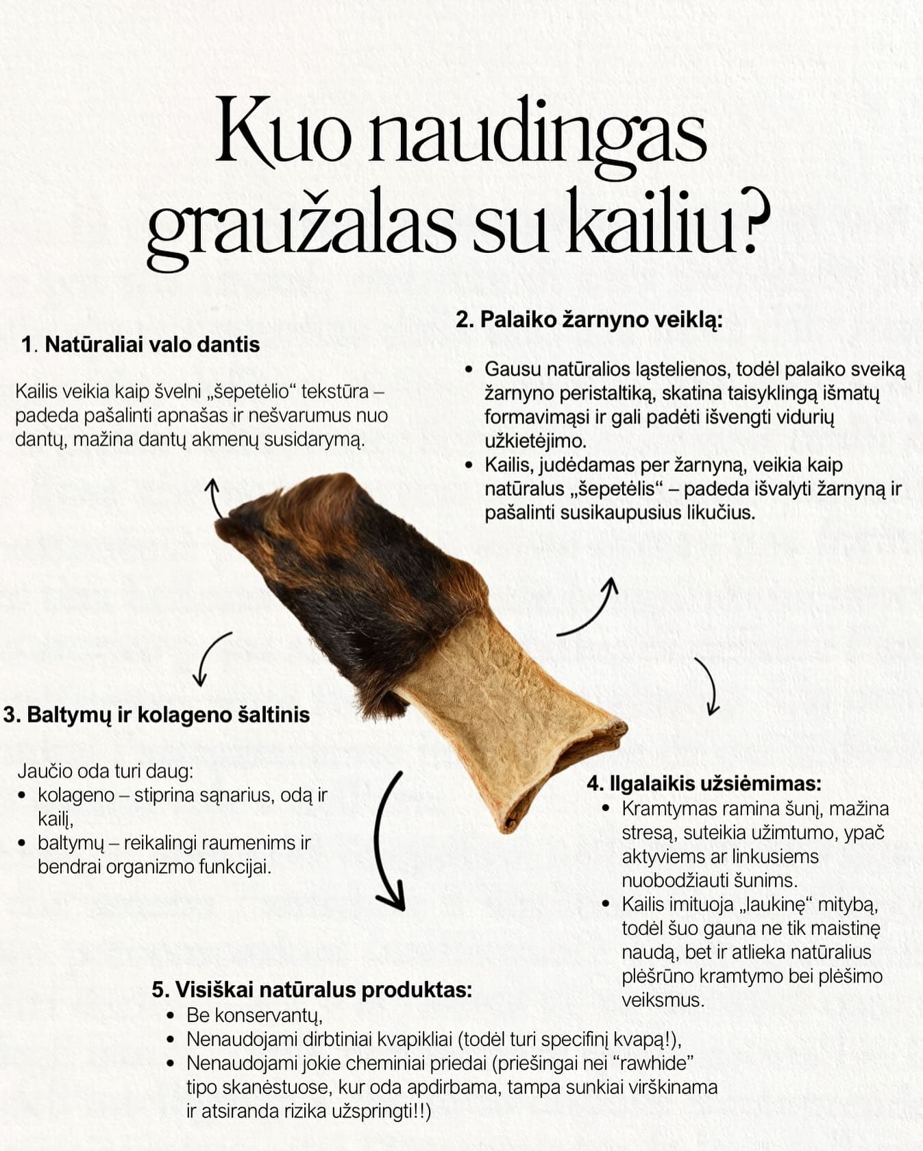 Kuo naudingas graužalas su kailiu?
