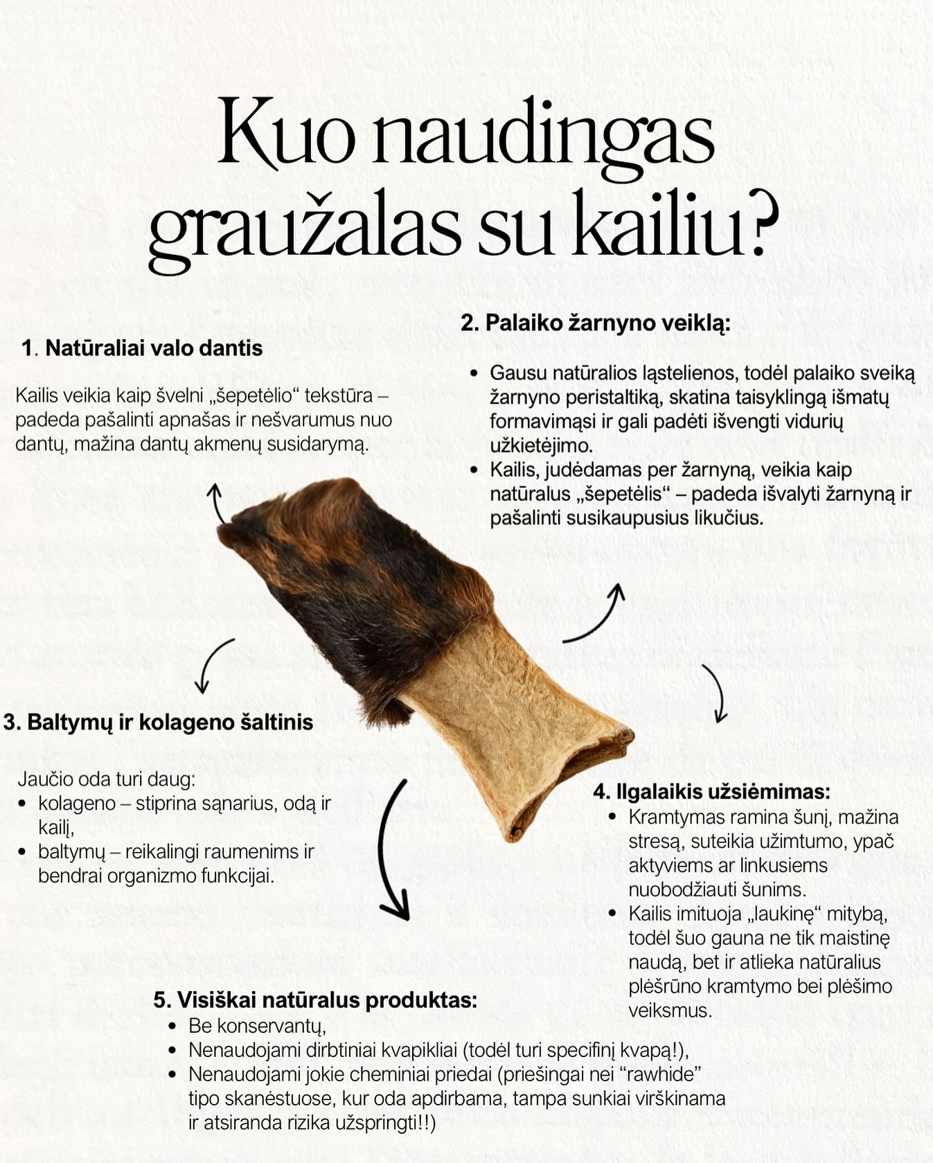 Kuo naudingas graužalas su kailiu?
