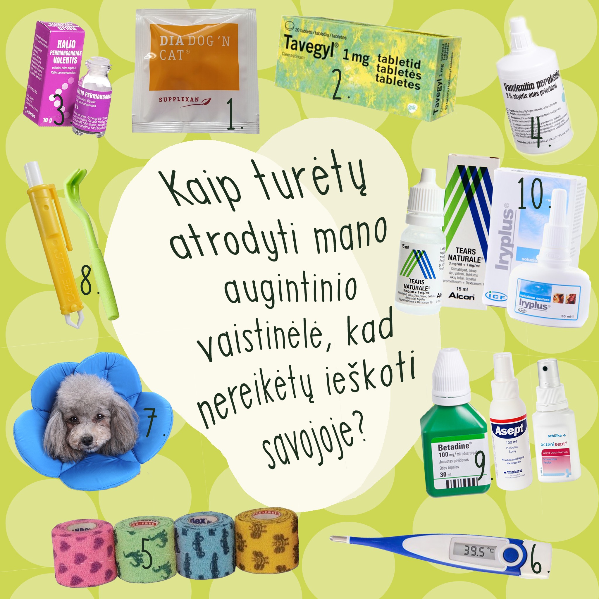 Ką turėti šuns vaistinėlėje, kad pagalbos nereikėtų ieškoti savojoje?
